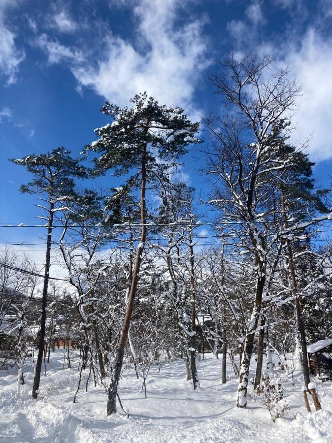 Seventh Heaven Hakuba Otel Dış mekan fotoğraf